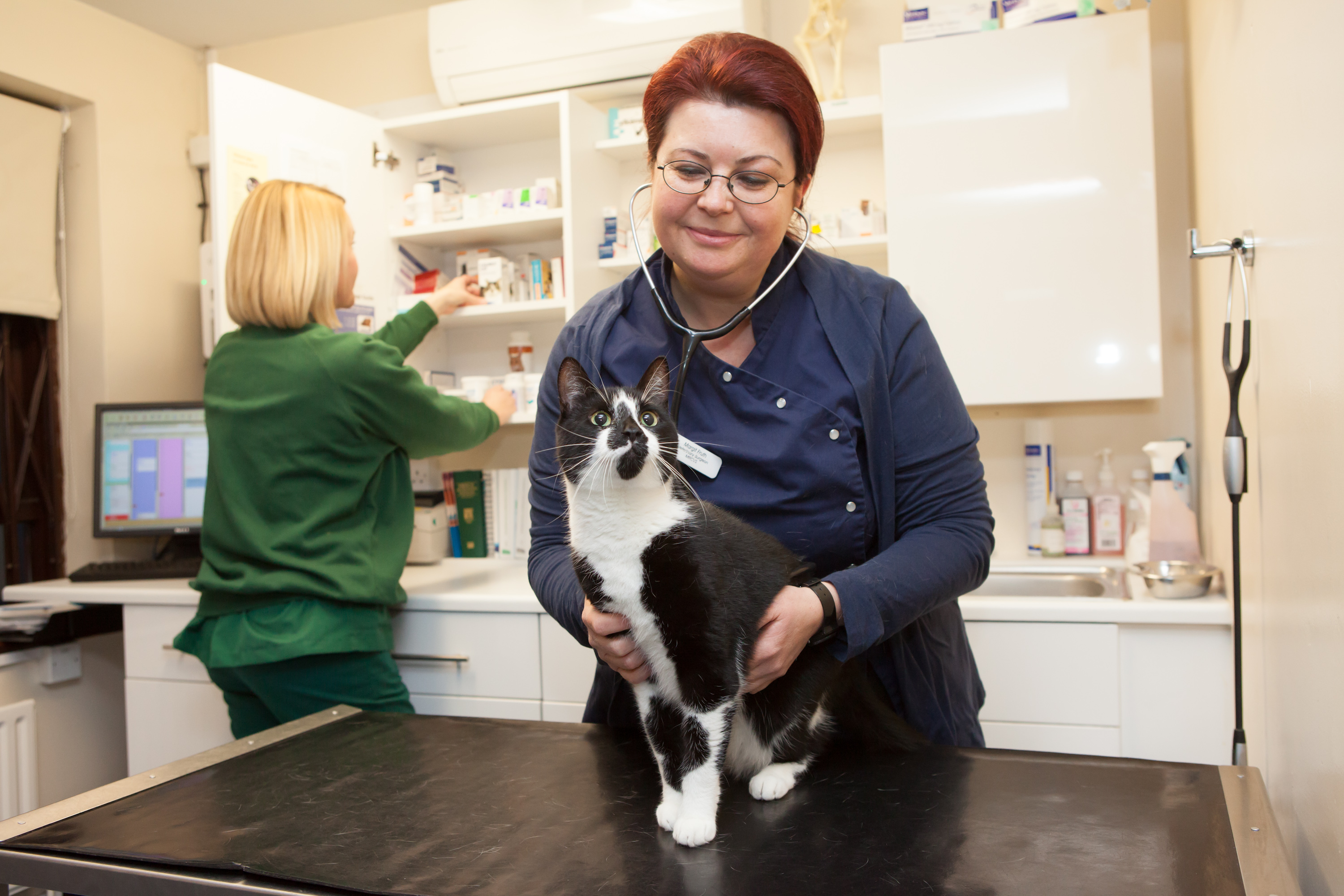 Images The Animal Clinic