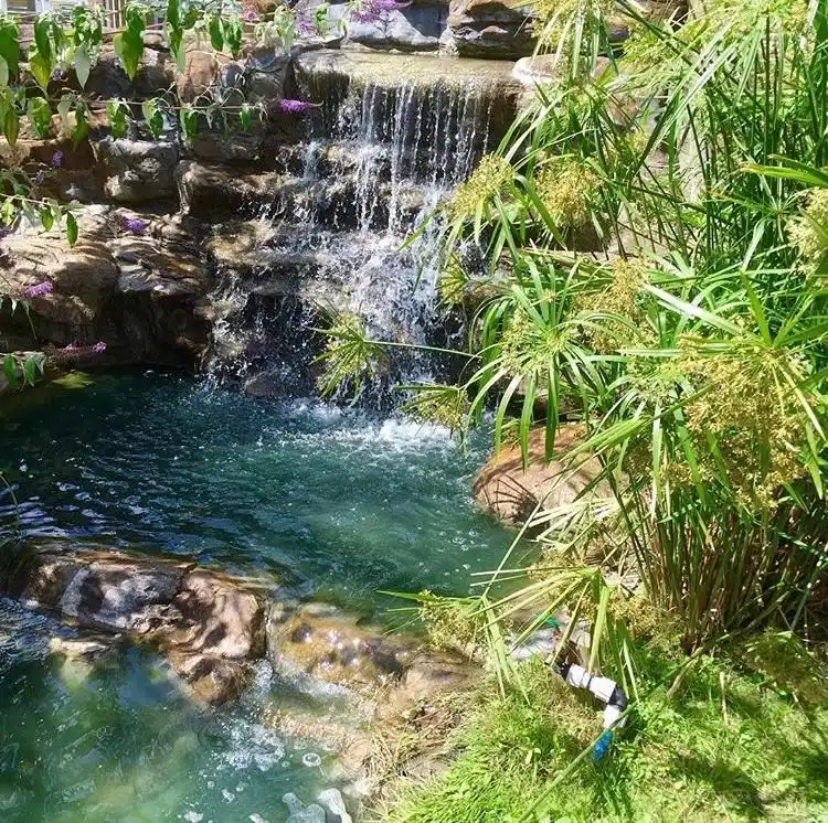 Images Aquascapes Water Feature Specialist Ltd