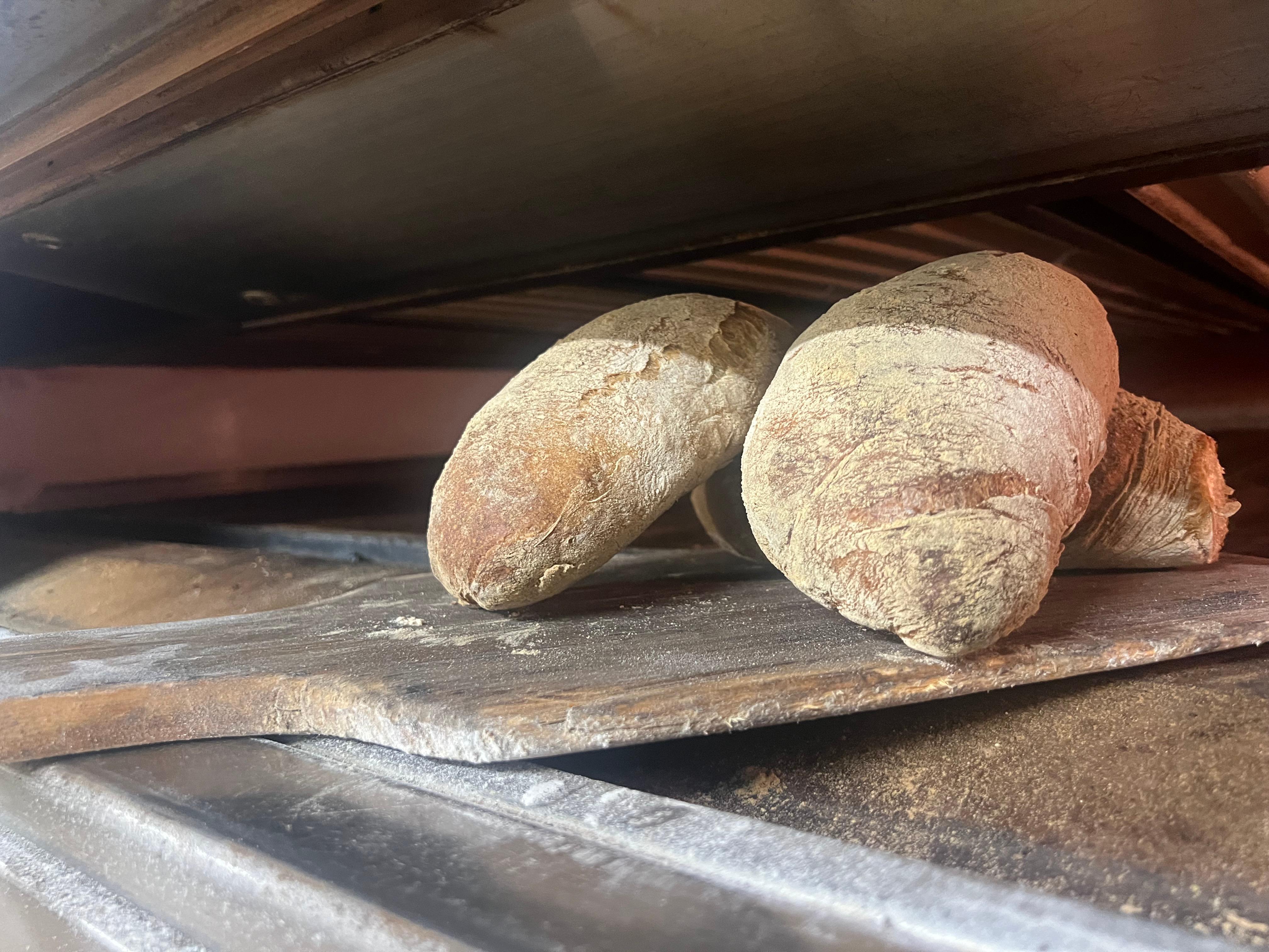 Bilder Bäckerei-Konditorei Gasser