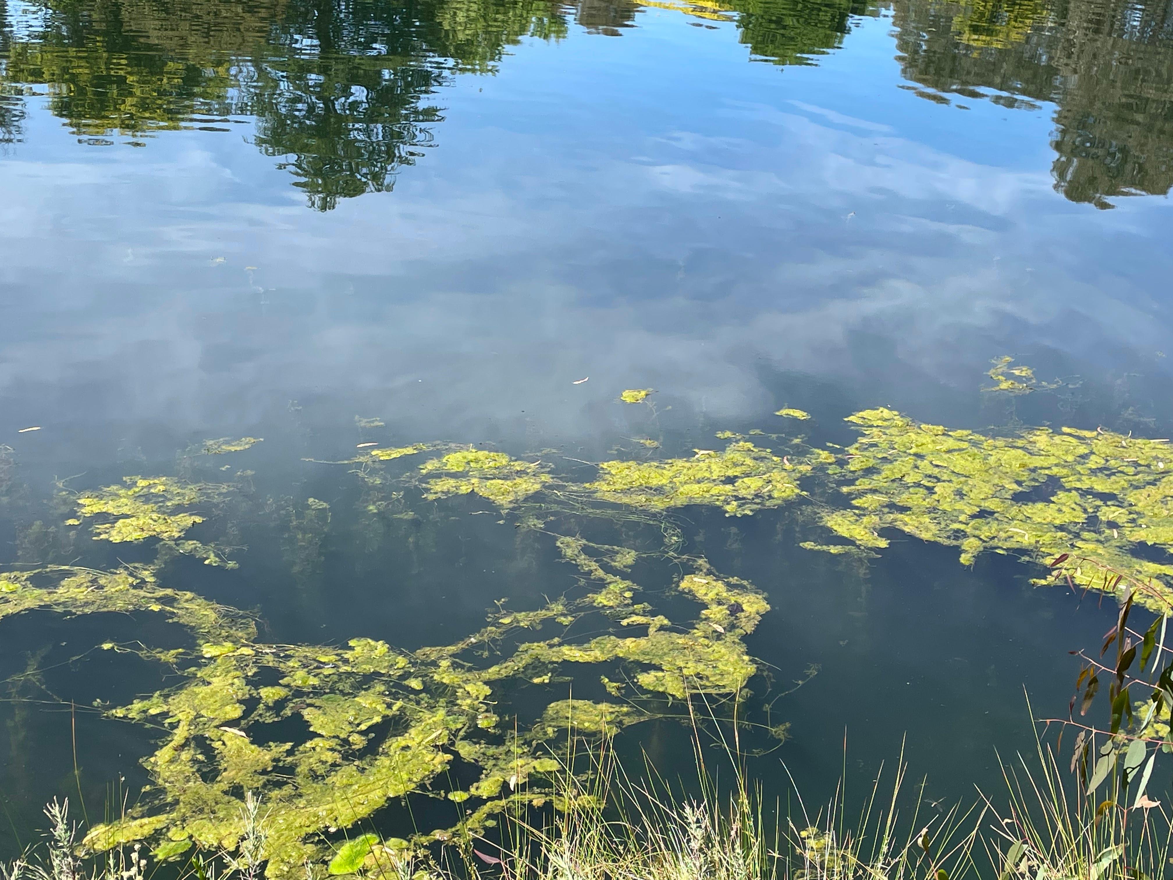 Images Gilba Solutions Pty Ltd