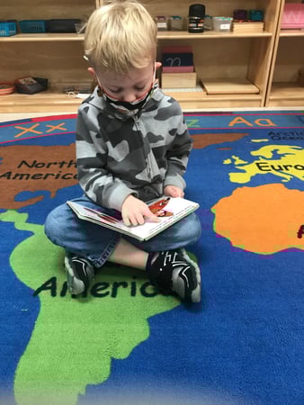 Images Teeter Toddler