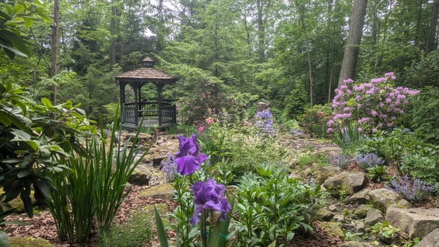 Images Impact Landscaping
