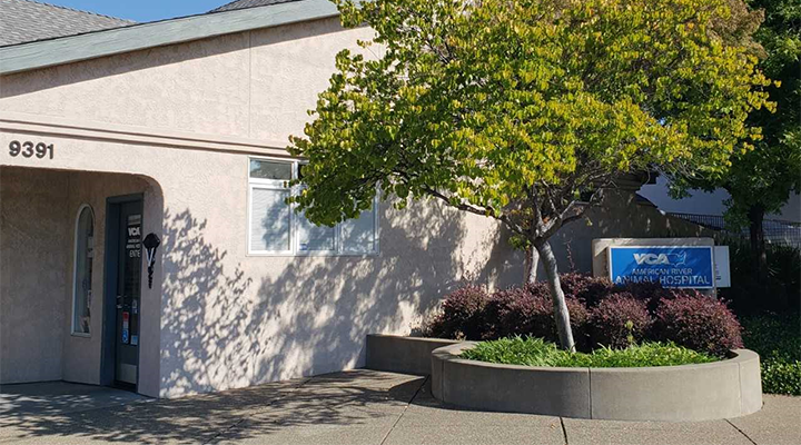 Images VCA American River Animal Hospital