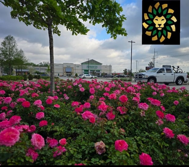 Images Lions Landscaping