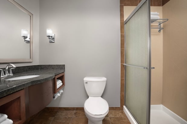 Images Holiday Inn & Suites Durango Downtown by IHG