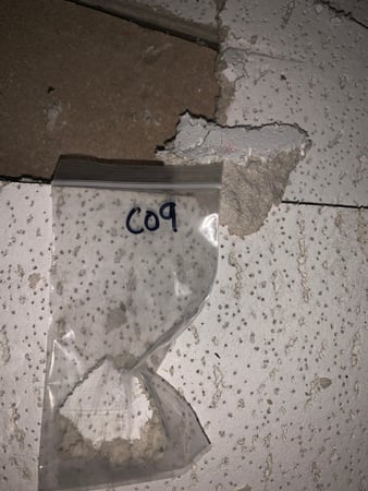 Images Rex Environmental