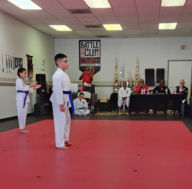 Images Jaguar Dojo