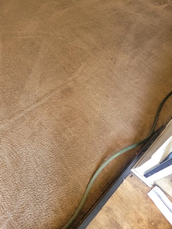 Images BCS Carpet Cleaning