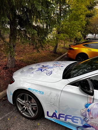 Images StarWrapz Tint - Wrap - PPF