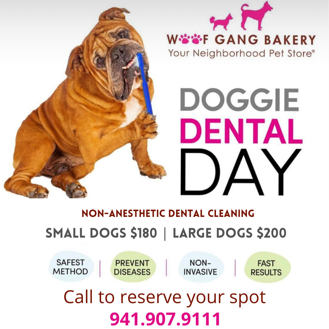 July 18 Doggie Dental Day Woof Gang Bakery & Grooming Lakewood Ranch