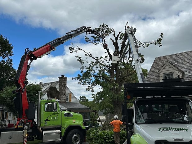 Images Friendly Tree Service Inc