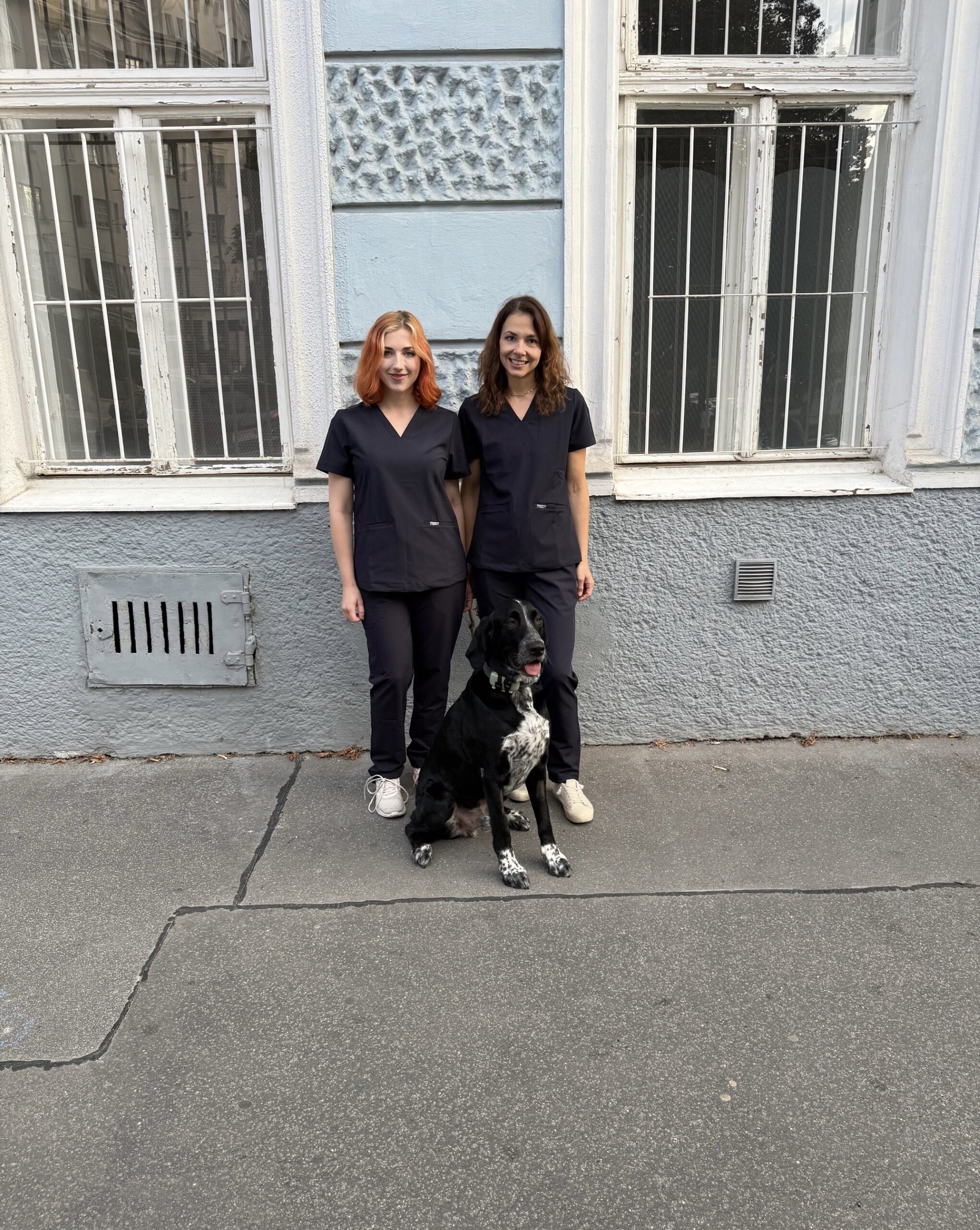 Bild 4 von Tierarztpraxis Vorgartenstraße