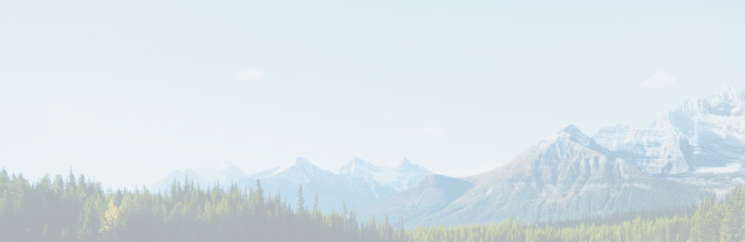 A forest with snow-capped mountains beneath a blue sky.