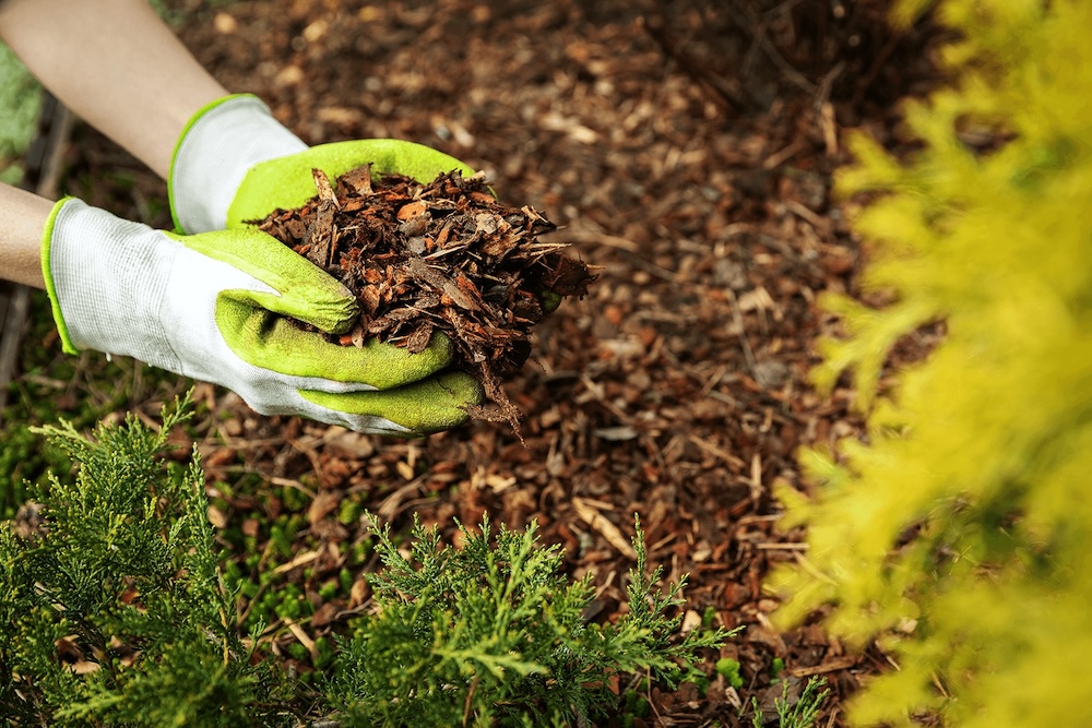 Mulch