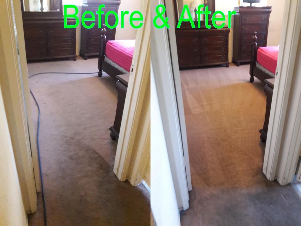 Able Body Carpet & Restoration Photo