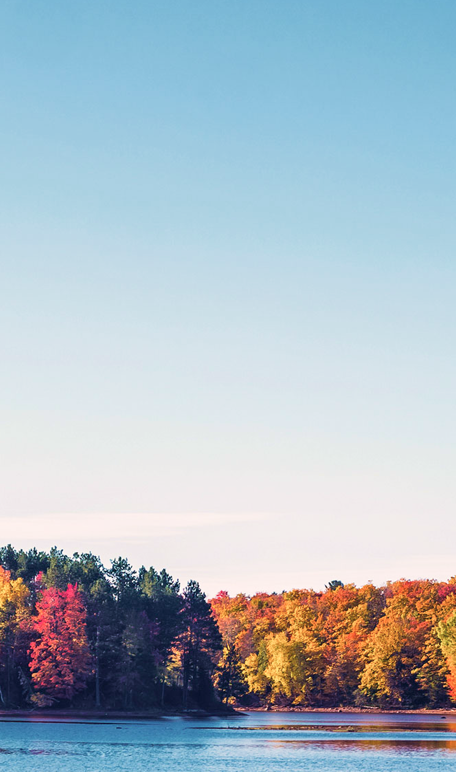 A lake surrounded by trees.