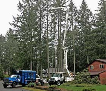 Images Double D Tree Service LLC