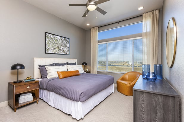 Images Zeta Luxury Apartments