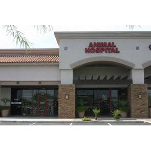 Happy Valley Animal Hospital, Plc