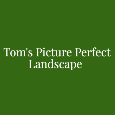 Tom's Picture Perfect Landscape Logo