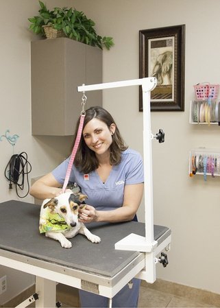 Images VCA Elliot Park Animal Hospital