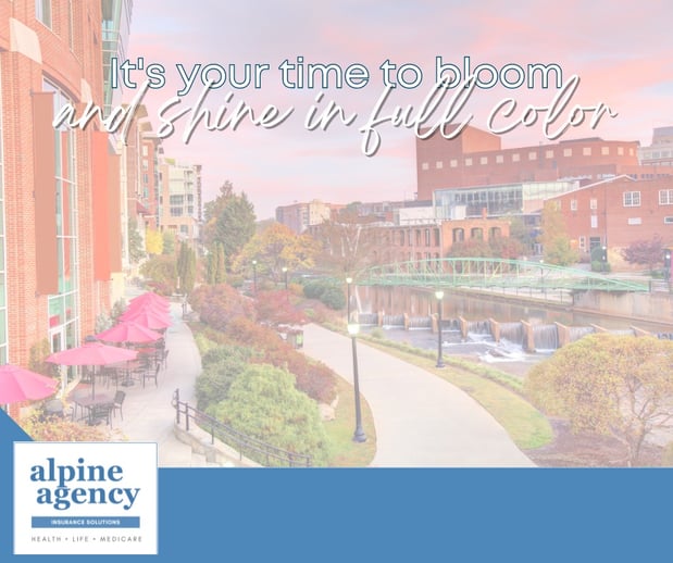 Images Alpine Agency