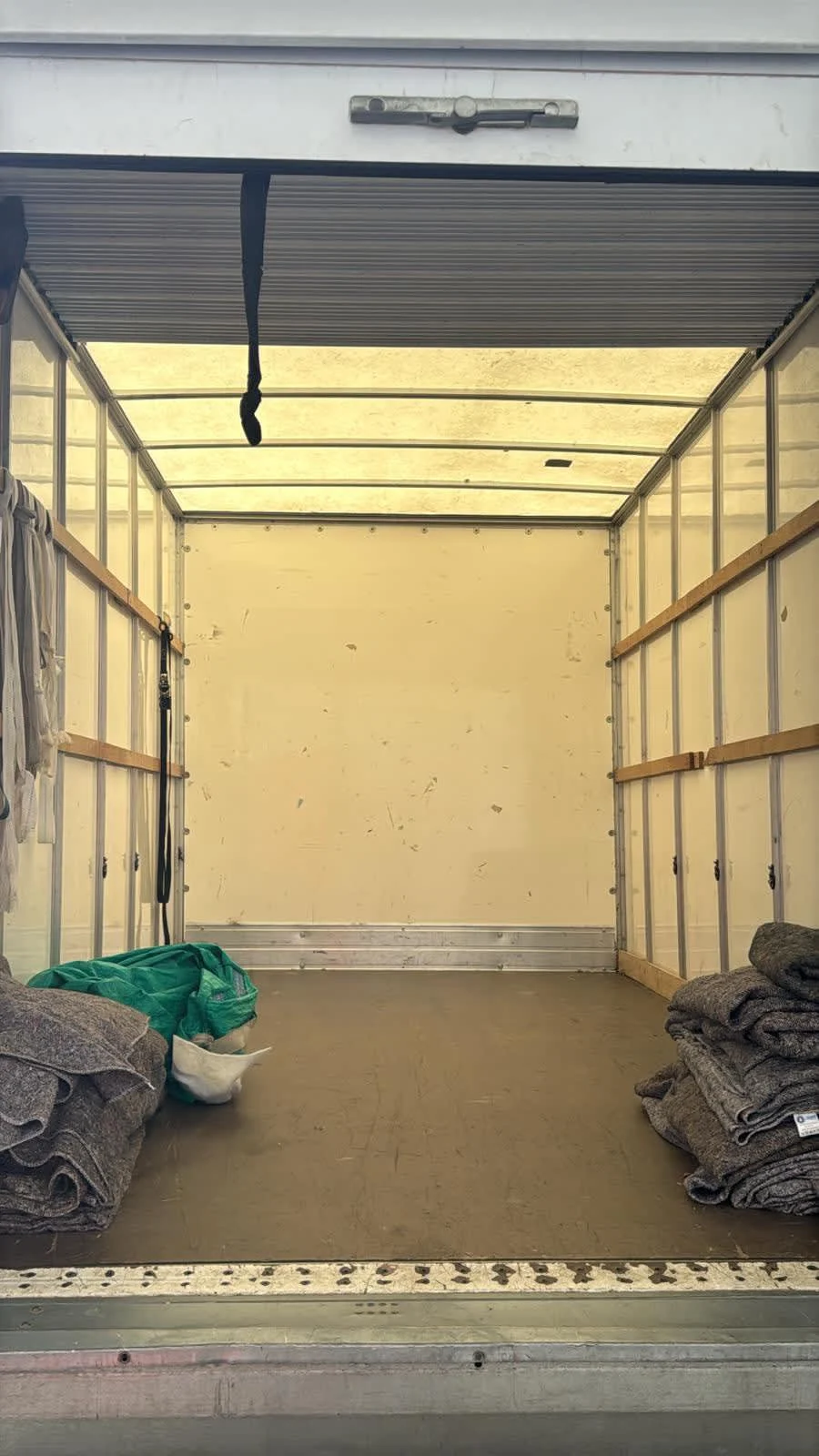 Images Zeus Removals