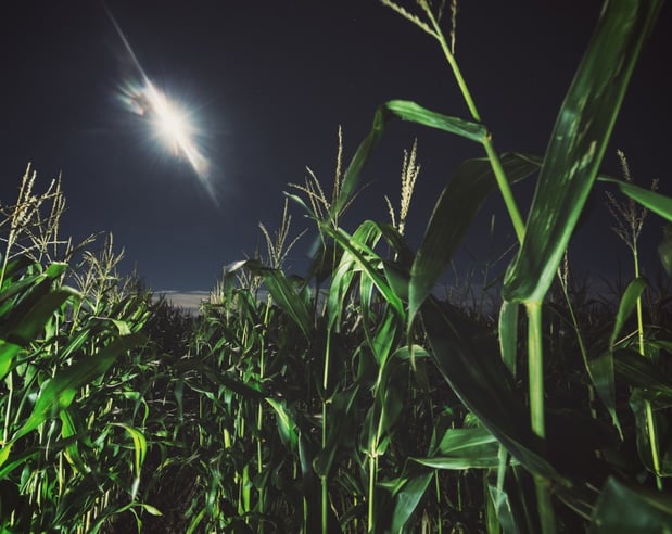 Images Von Thun Farms