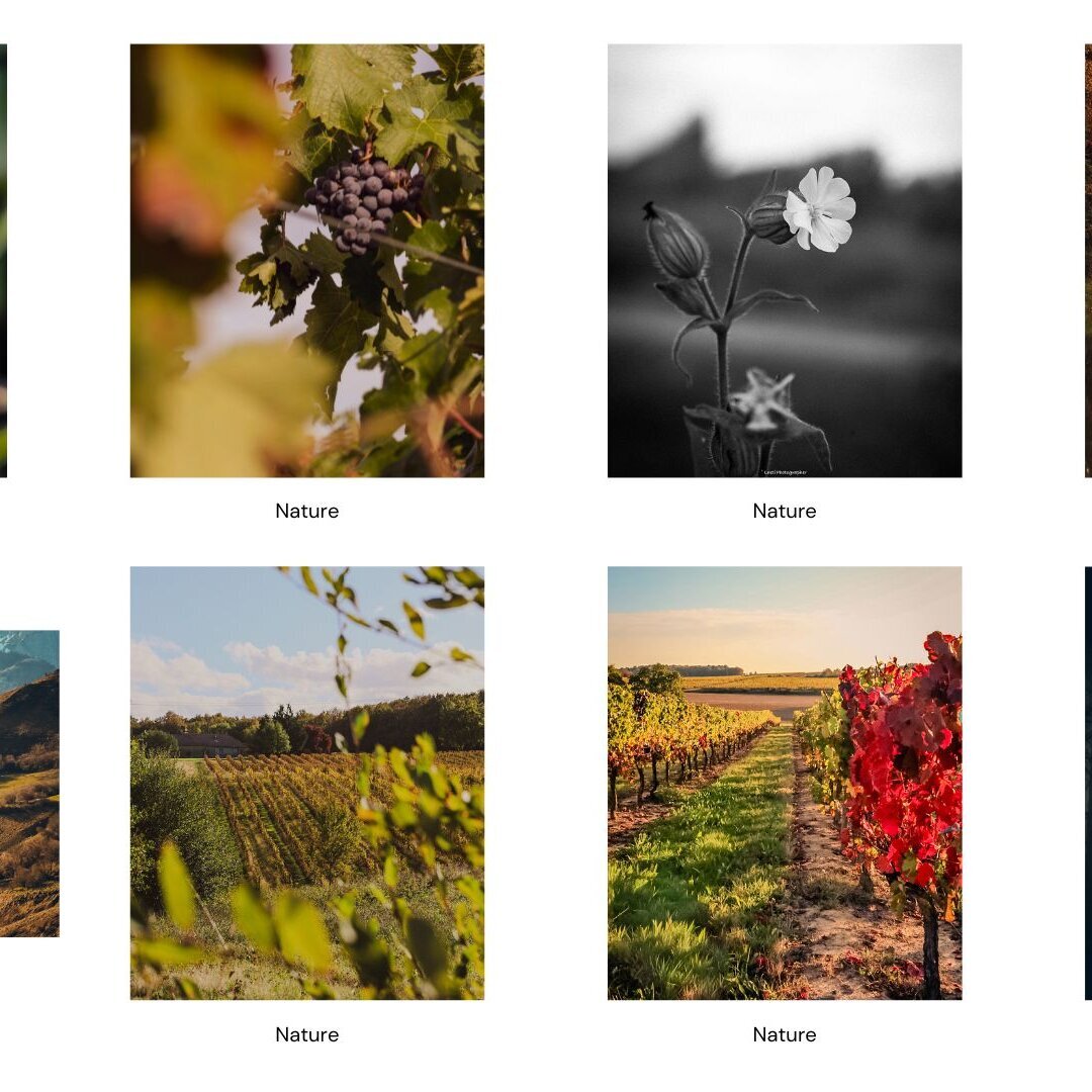 galerie image galerie image