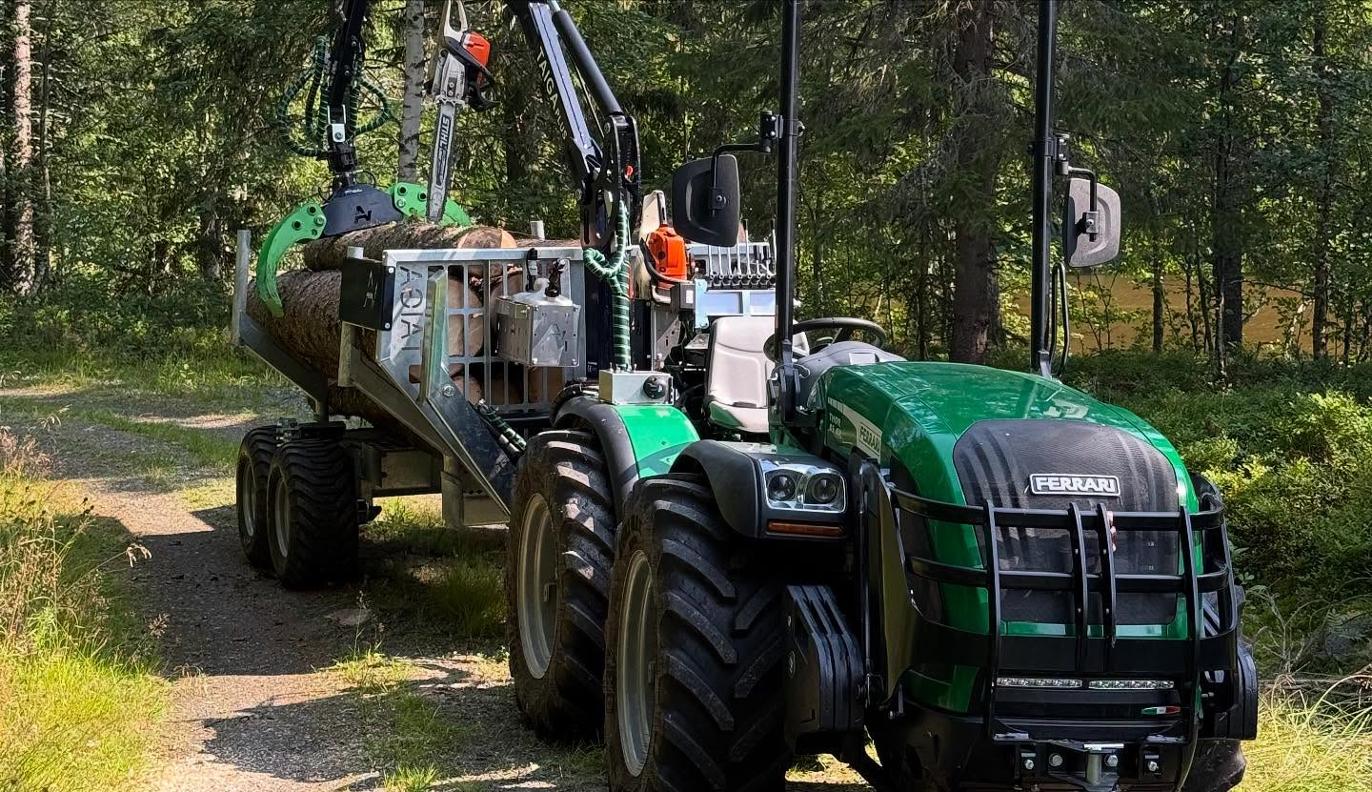 Images Umeå Trädservice