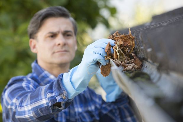 Images Austin's Affordable Gutters, LLC