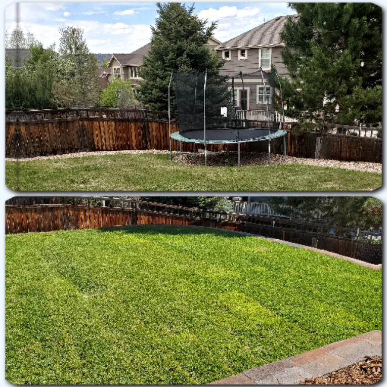 Images Caneywell Landscaping, LLC