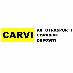 Carvi S.n.c di Alberto e Franco Casalini Logo