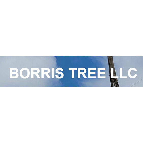 Borris Tree LLC