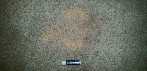 Images East Coast Carpet Care, Inc