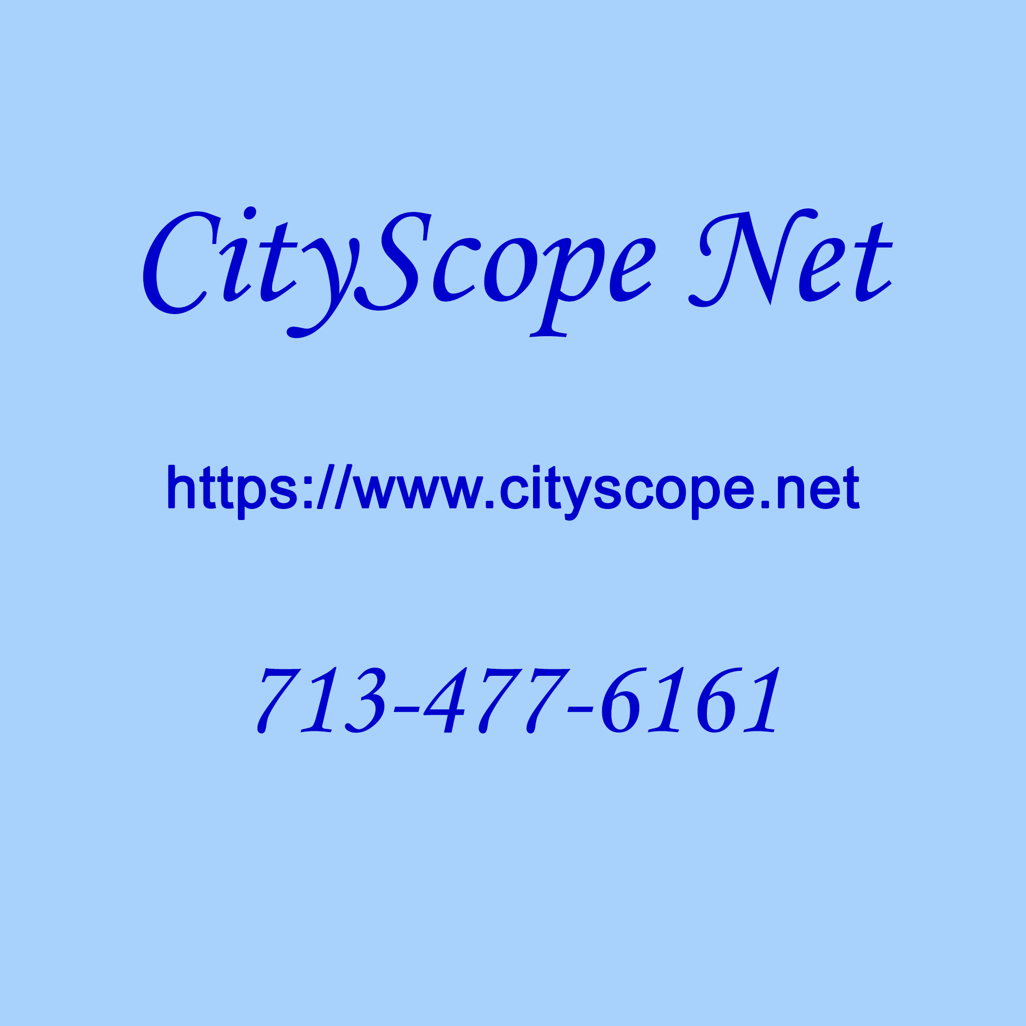 CityScope Net Logo