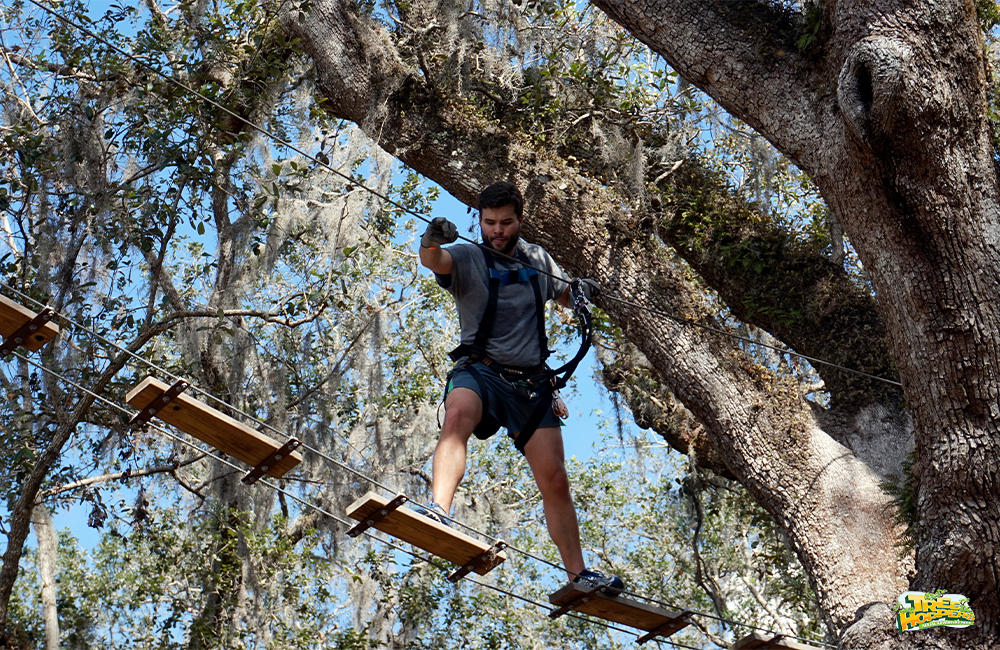 Cross sky bridges at TreeHoppers TreeHoppers Aerial Adventure Park Dade City (813)381-5400