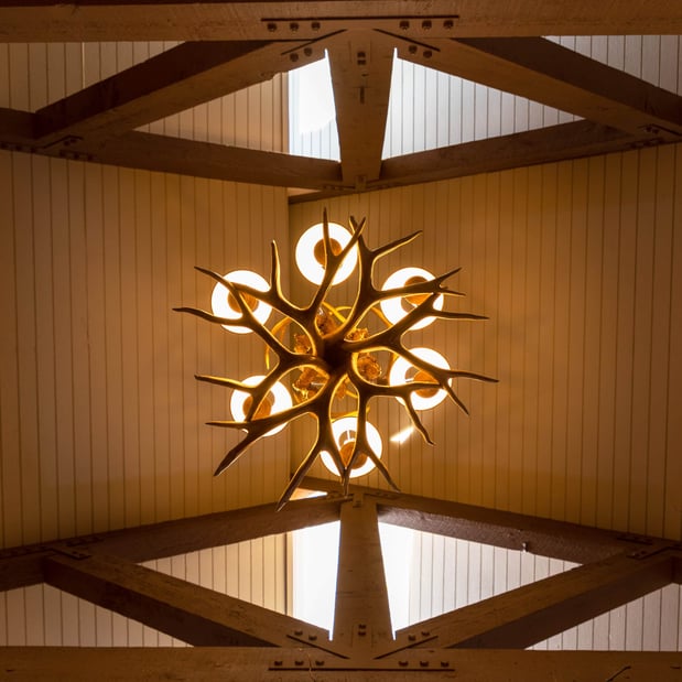 Images Outbound Mammoth