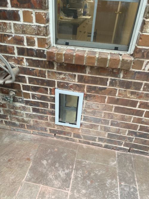 Ace Handyman Services North Irving dog door