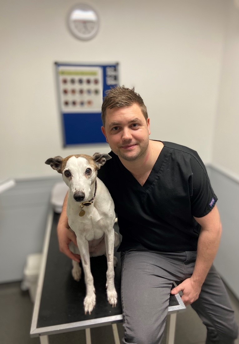 Images Ashfield House Veterinary Surgery, Bramcote