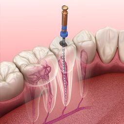 Borstal Gate Dental Surgery 6