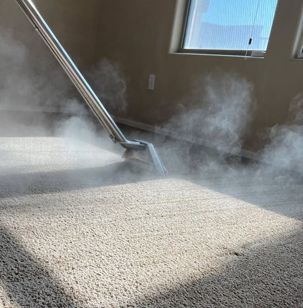 Images SkyBlue Carpet and Tile Cleaning