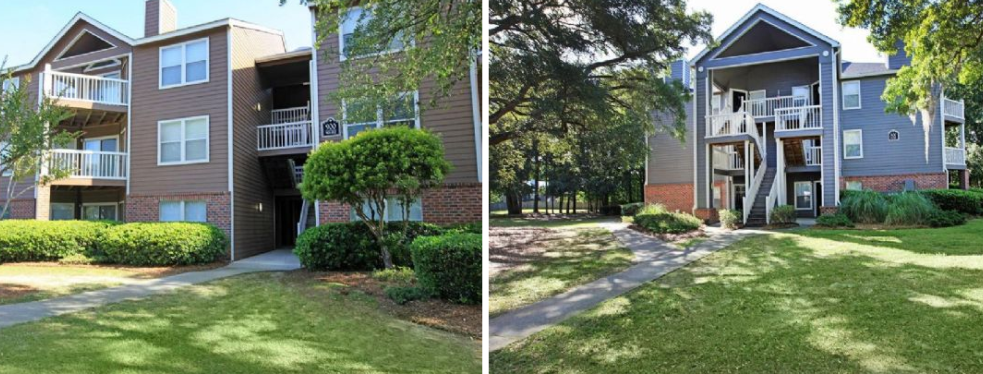 Palmetto Grove