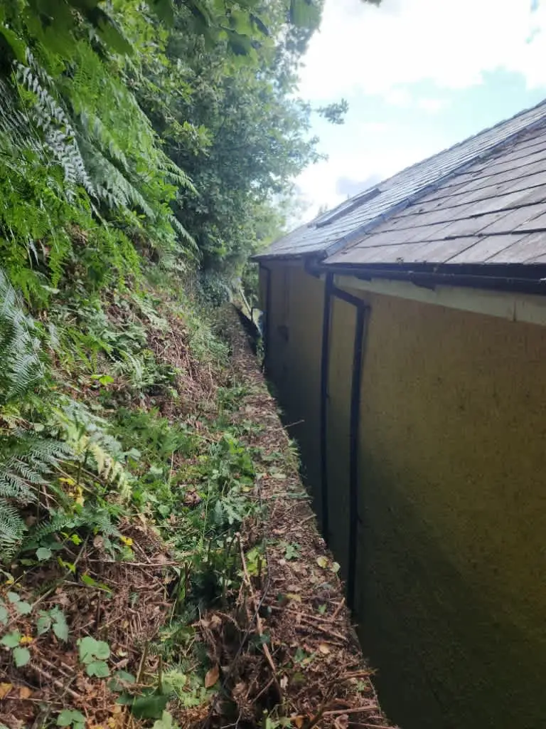 Images Master Moves Man & Van