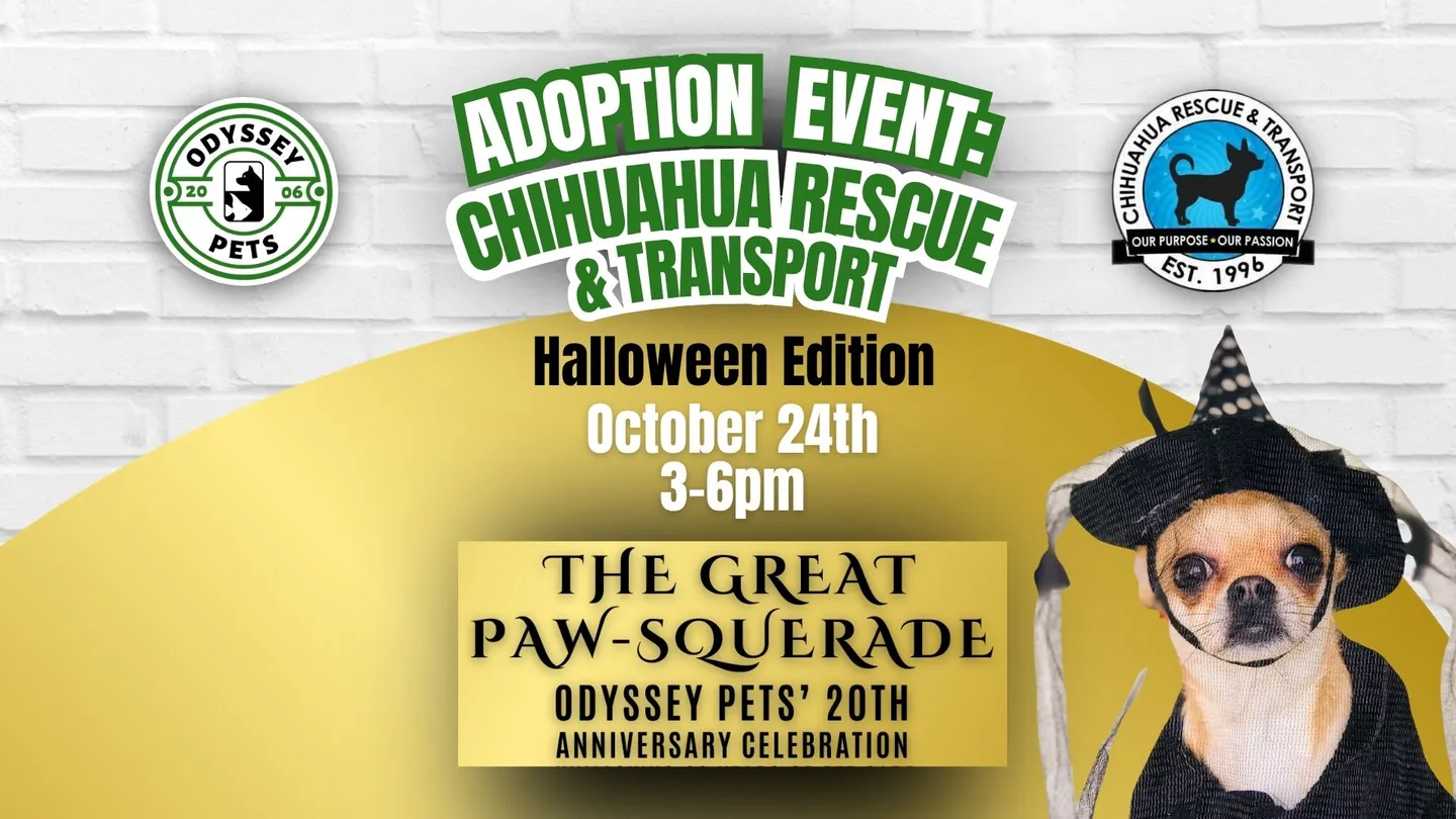 Image of Local Pet Event Chihuahua Rescue Nearby