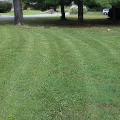 Images Mower Lawn and Landscape