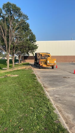 Images Martinez Tree Service