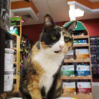 Images Ann-imals Pet Supply Store