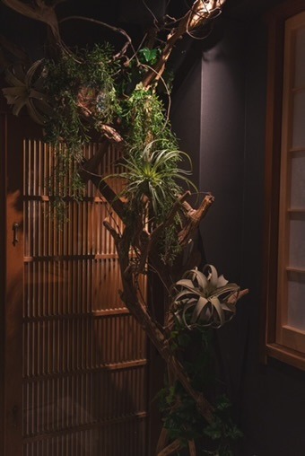 Images 粉もんとワイン　双葉