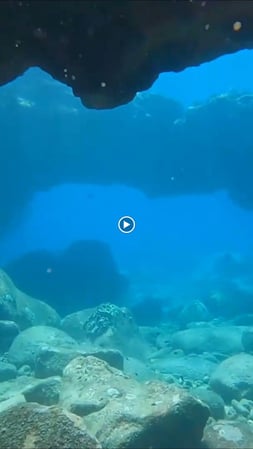 Images Kona Snorkel Trips